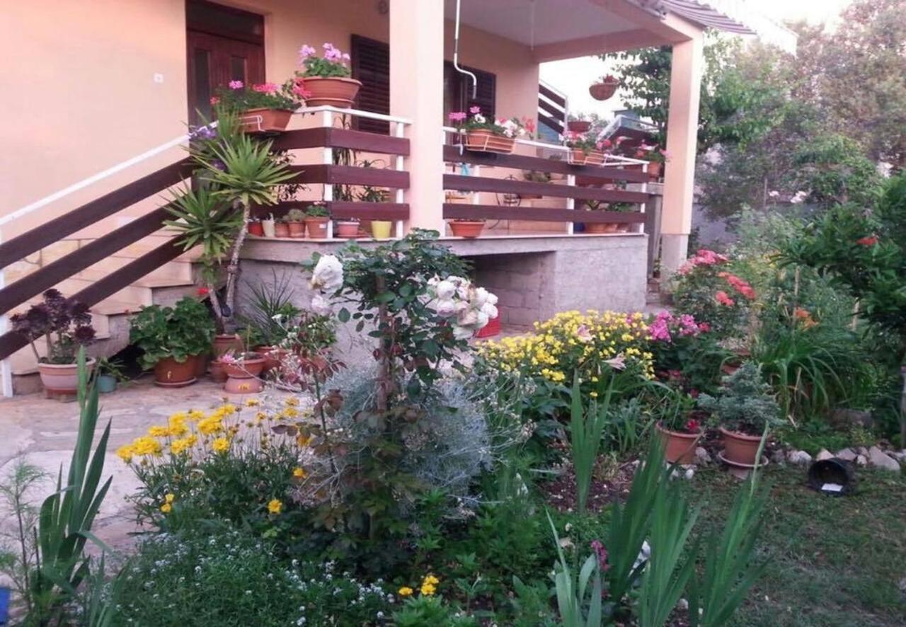 Apartment Dragica - With Nice View Zadar